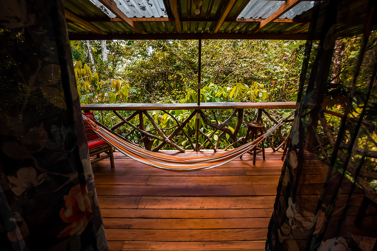 Jungle Suite Gavilán Bajo 5