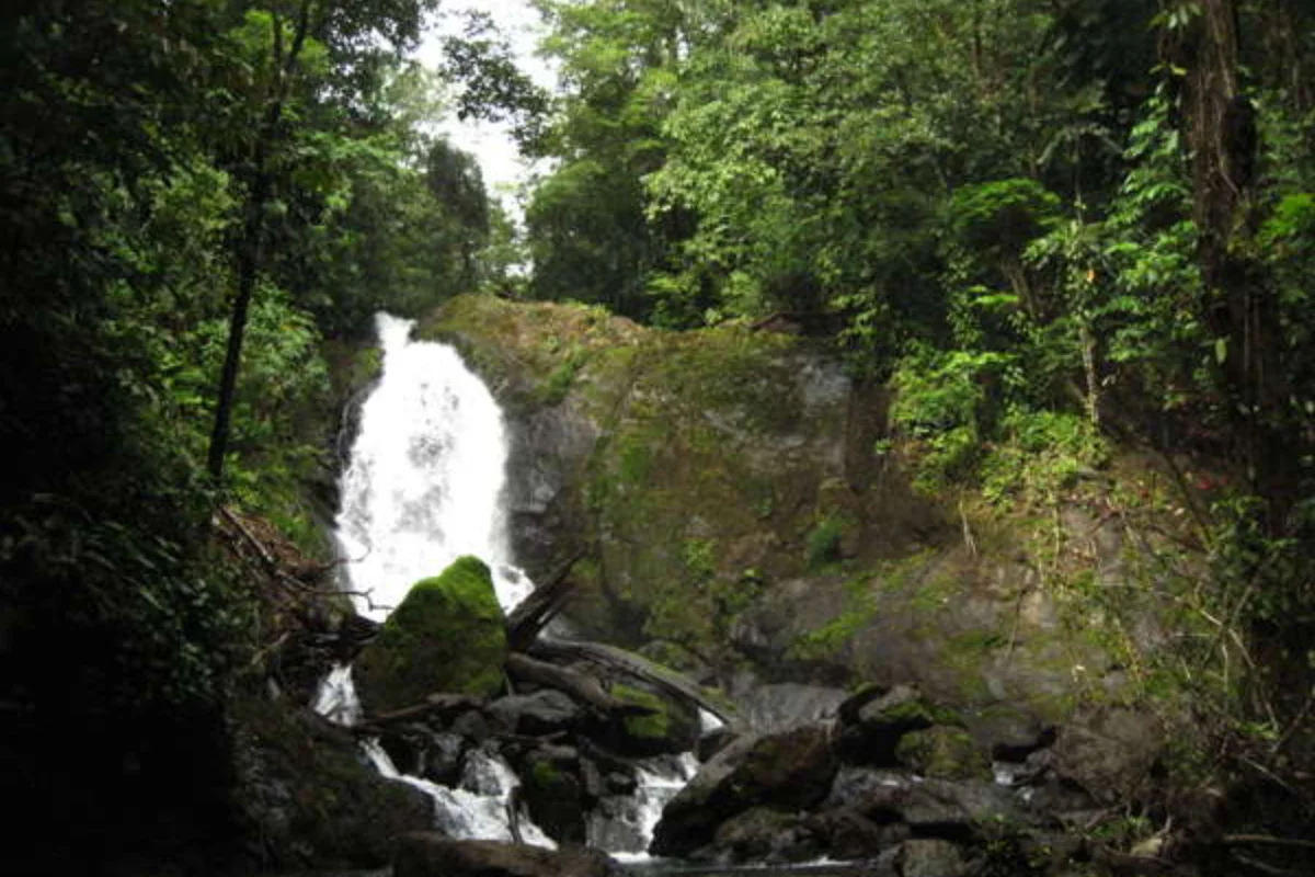 Corcovado National Park – San Pedrillo