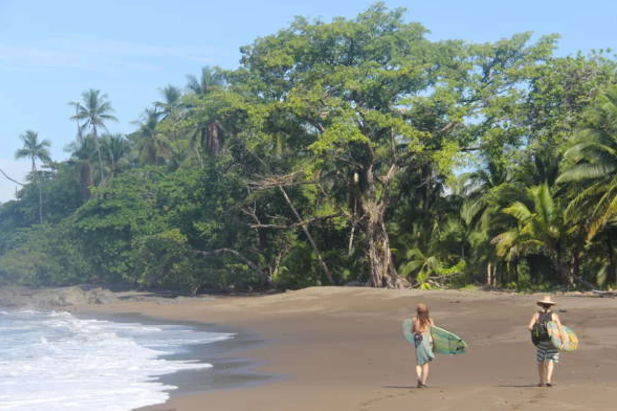 Surf Tour at Rio Claro